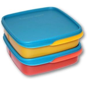 Tupperware divided lunch containers